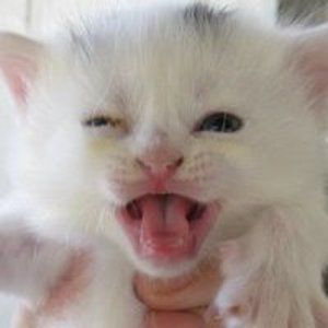 Meet your Posher, Ritza